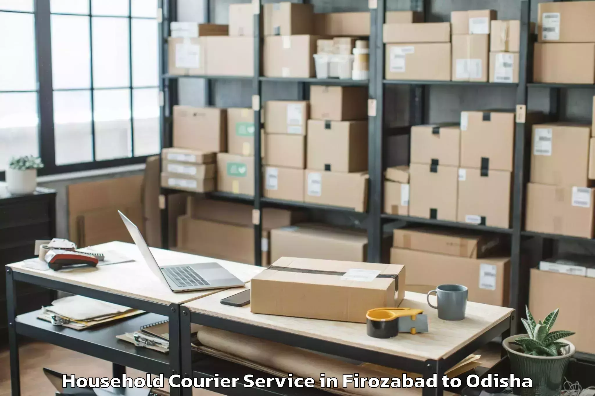 Hassle-Free Firozabad to Lephripara Household Courier